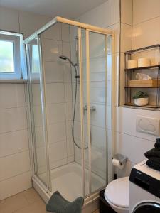 a shower with a glass door in a bathroom at Cozy studio apartment in Kornwestheim