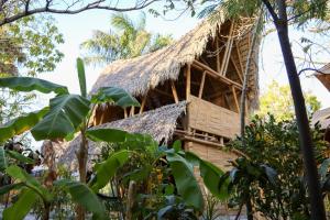 シウダー・バージェスにあるEco Hotel Casa Kimaの茅葺き屋根の木造家屋