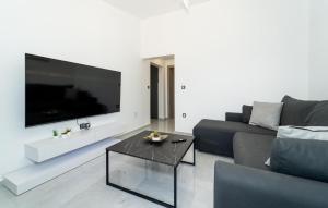 a living room with a couch and a large tv at Awesome Apartment In Pridraga With Wifi in Pridraga