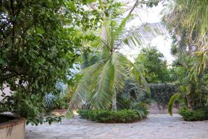 Gallery image of Hotel Casa Ortiz in Ciudad Valles