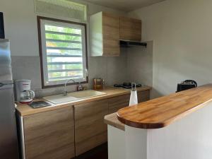 Una cocina o cocineta en Gîte des Flamboyants Orion Pk 14