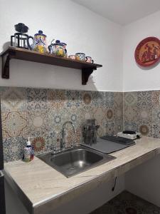 a kitchen counter with a sink and a shelf at Casa Flamboyán in Santa Bárbara +11 photos