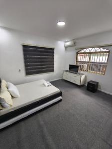 a bedroom with a bed and a desk and a television at The Party Pad in Angeles +17 photos