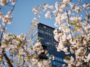 a building in the background withakura trees in the foreground at Patina Osaka in Osaka