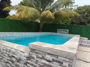 a swimming pool in a yard with a palm tree at Risoli Villa in Desruisseaux