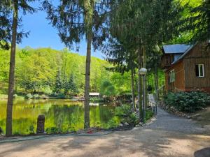 a house with a pond in front of a building at Apartament Daisy in Świebodzice