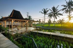 Vrt pred nastanitvijo DITUJU Ubud by Pramana Villas