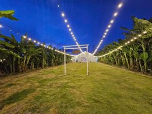 a marquee lit up at night with lights at Voi Vui Vẻ Homestay in Plei Kêp