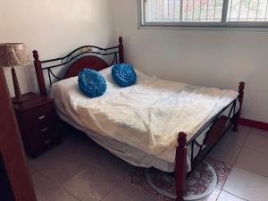 um quarto com uma cama com almofadas azuis em The poolhouse at McKirdy's mango farm em Sison