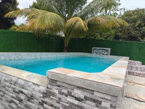 a swimming pool in a yard with a palm tree at Risoli Villa in Micoud