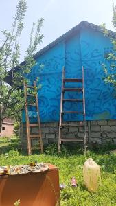 Κήπος έξω από το Cannavillas hostel