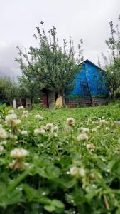 Κήπος έξω από το Cannavillas hostel