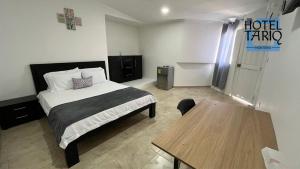 蒙特里亚Hotel Tariq Montería的相册照片