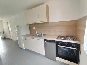 kuchnia z kuchenką, zlewem i lodówką w obiekcie Apartments Sonija w mieście Gdinj +37 zdjęć