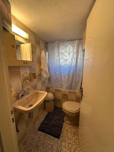 a small bathroom with a toilet and a sink at Down Town Karpenhsi in Karpenision