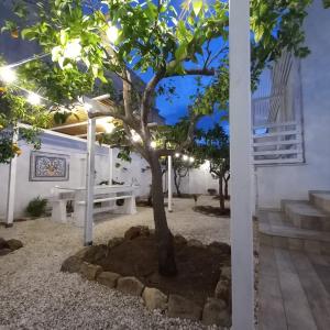 Zahrada ubytování Casa Virgilio