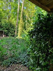 BenB Op de Vleet vrijstaande accommodatie外面的花园