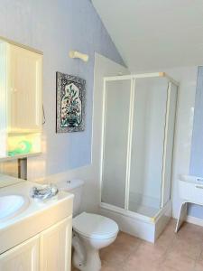 a bathroom with a shower and a toilet and a sink at Maison au calme proche commerces et plages in Gâvres