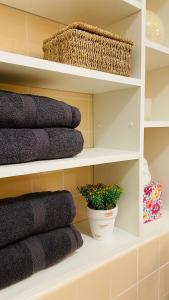 a shelf with towels and a potted plant on it at Le cocon familial in Digne-les-Bains