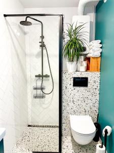 a bathroom with a shower and a toilet at Apartament przy Rynku in Sandomierz