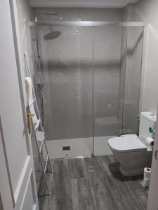 a bathroom with a glass shower with a toilet at Plaza Ayuntamiento 2 habitaciones Pondos in Linares