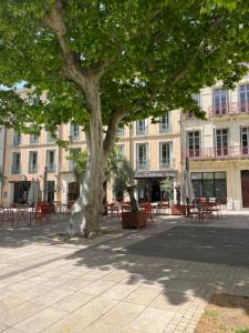 un árbol frente a un edificio con mesas y sillas en Joli appartement hypercentre T2, classé meublé de tourisme 3 avec parking gratuit, en Béziers