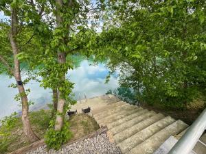 ビハチにあるVilla Sofiaのギャラリーの写真 +31枚の写真