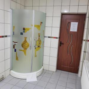a shower in a bathroom with vases on the wall at Conacul de la Dunăre, Eșelnița in Eşelniţa