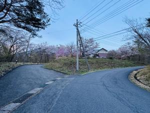 Imagen de la galería de Hana No Paradise, en Nasu 34 fotos más
