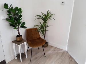 a chair and two potted plants in a room at Holiday house Happy House - 2 km from the beach in Noordwijkerhout