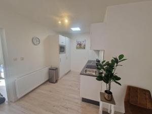 a kitchen with white cabinets and a potted plant at Holiday house Happy House - 2 km from the beach in Noordwijkerhout