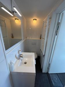 a bathroom with a sink and a toilet and a mirror at Vakantiehuis aan De Mooie Nel in Spaarndam +29 photos