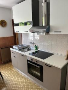 a kitchen with a sink and a stove at Roja House in Soča