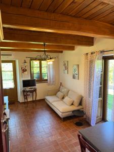 salon z kanapą i telewizorem w obiekcie Agriturismo La Valle Dimenticata w mieście Urbania