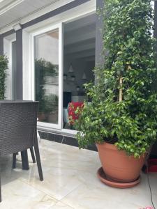 Zahrada ubytování Blumoon boutique