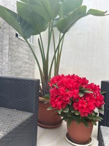 Posezení v ubytování Blumoon boutique