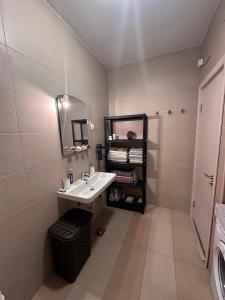 ラファイロヴィチにあるApartments EVGの洗面台と鏡のあるバスルーム