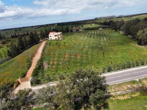 une vue aérienne d'un grand champ avec une maison dessus dans l'établissement Zs Farm Kamouni - WIFI Fibre - Jacuzzi on request, à Sidi Allal el Bahraoui