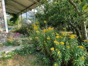 ZhezdiЗагородный дом的相册照片