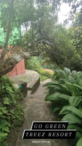 حديقة خارج Treez Resort