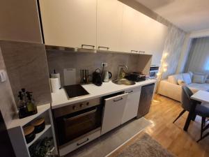 a kitchen with a sink and a couch in a room at Astera 4 in Vrnjci