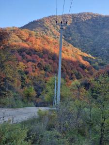 Gallery image of Загородный дом in Zhezdi