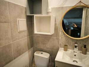 a bathroom with a toilet and a sink and a mirror at Le Nid plein centre in Salon-de-Provence +7 photos