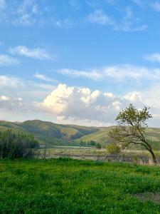 Příroda nedaleko venkovského domu