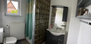 a bathroom with a sink and a toilet and a mirror at Ferienwohnung am Eschenberg in Vinstedt +17 photos