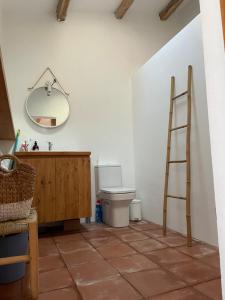 a bathroom with a toilet and a mirror on the wall at Maison de village avec piscine à 10 min de la plage Costa Brava in Sant Feliu de Guixols +15 photos