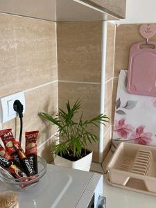 Cucina o angolo cottura di Apartman San