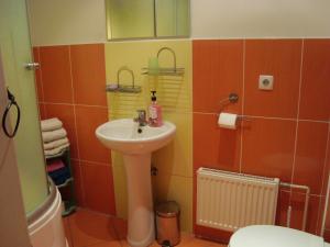 a bathroom with a sink and a toilet at Ventspils Apartments in Ventspils +18 photos