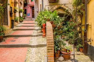 Il quartiere o una zona nella vicinanze della casa vacanze