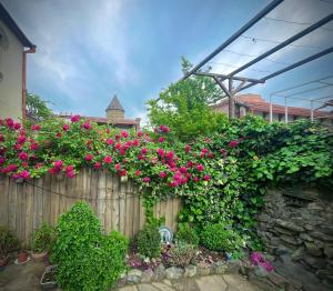 Zahrada ubytování VILLA SABA WITH TWO BEDROOMS- სასტუმრო საბა